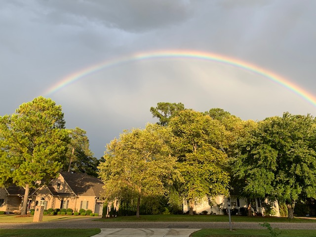 rain bow